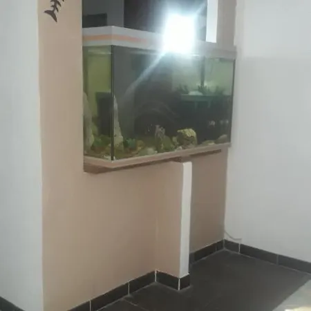 Apartment Apartamento Acuario